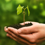 2024 GHG Report: SPP Discloses Carbon Emission Profile, Sets climate Accountability Standard