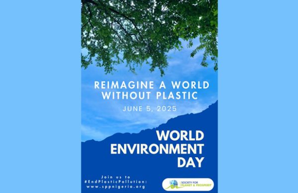 environment day2