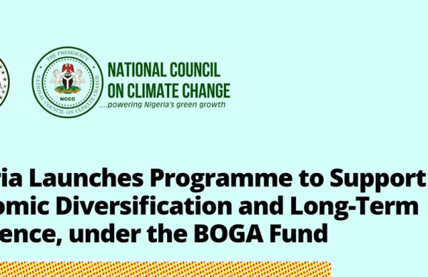 Launch Flyer2 Launch Flyer2