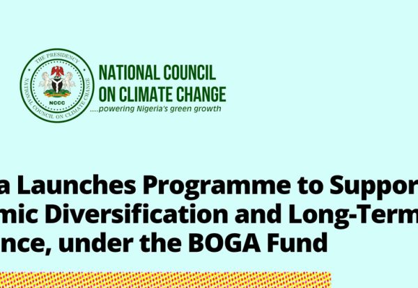 Launch Flyer2 Launch Flyer2