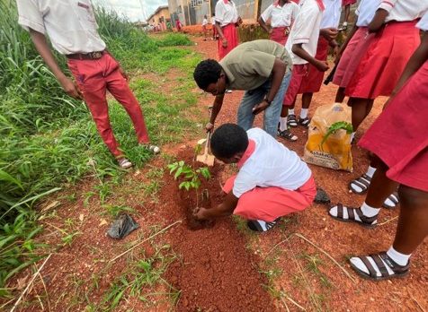 Tree planting exercise with the students